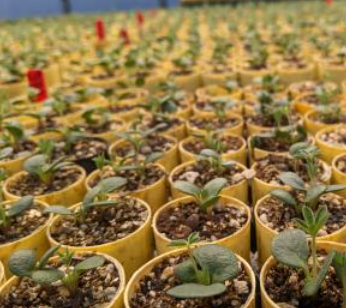 2027 National Native Seed Conference