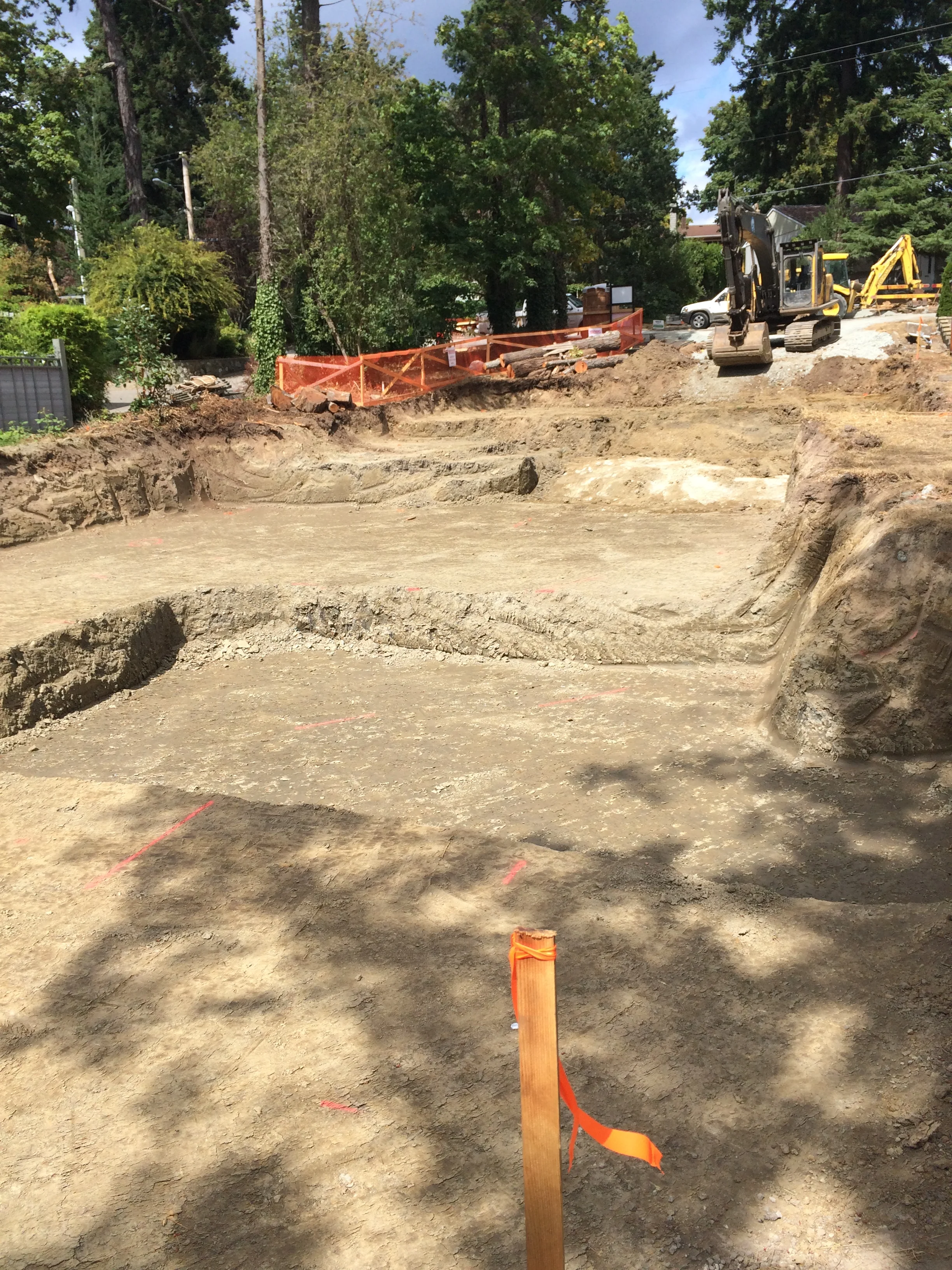 007 End of Excavation.JPG