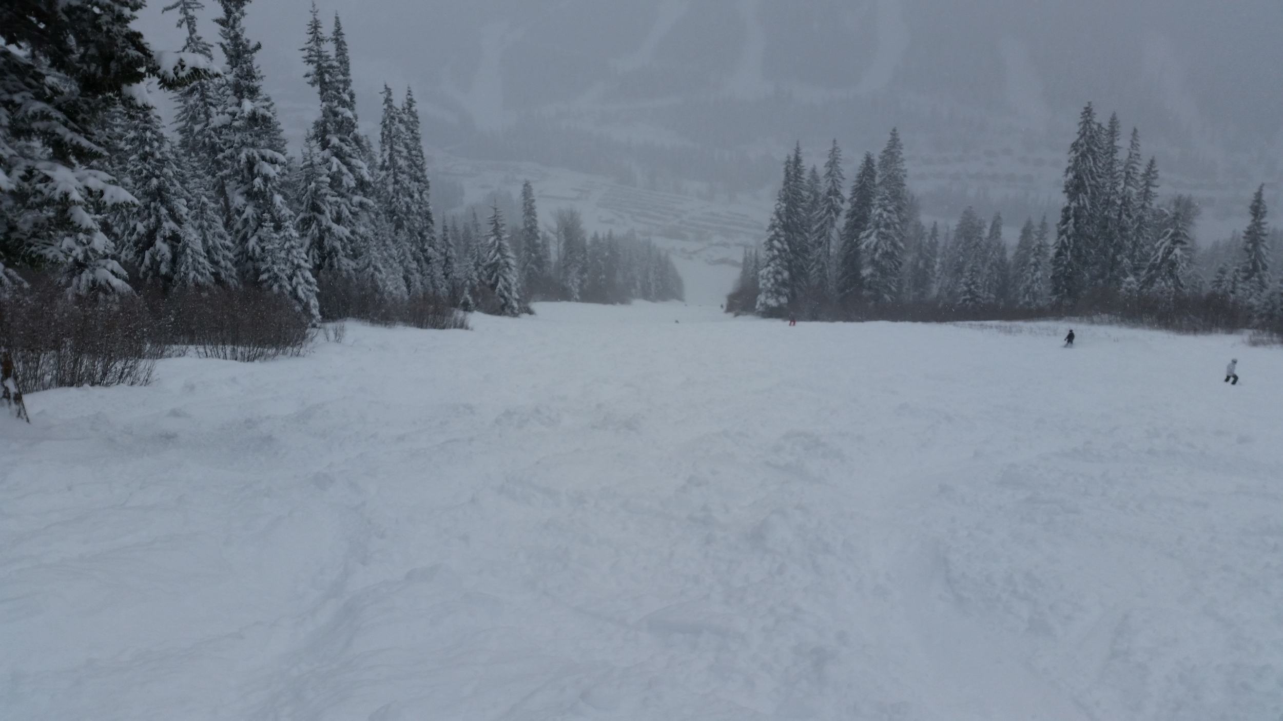 20150105_114710.jpg