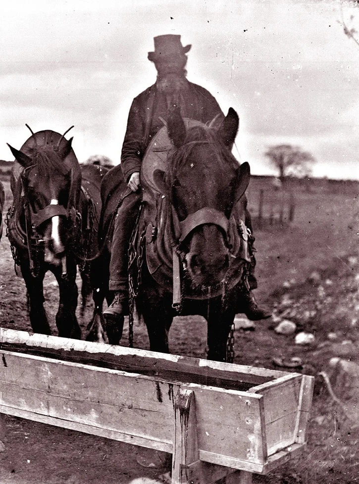Horsem-det2.jpg