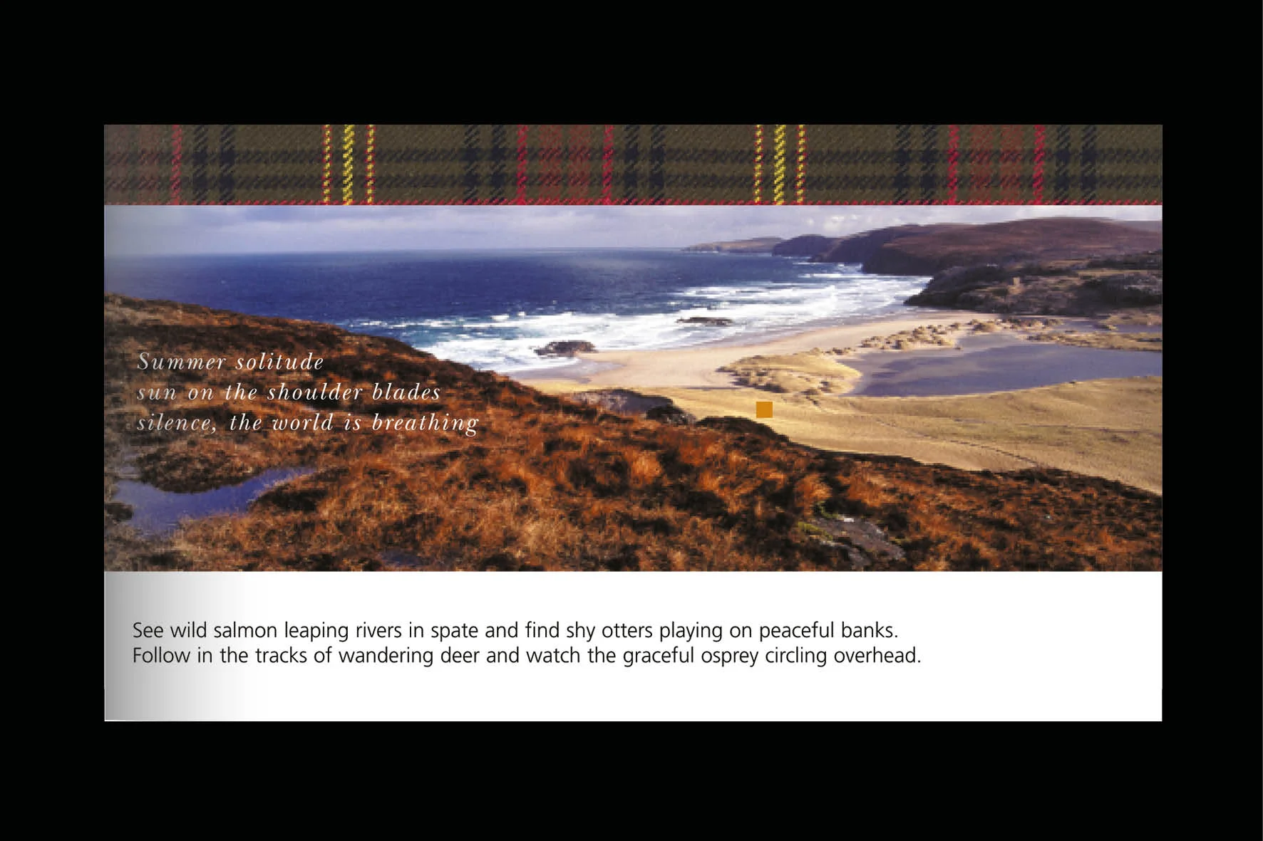 F-Design sector8.jpg