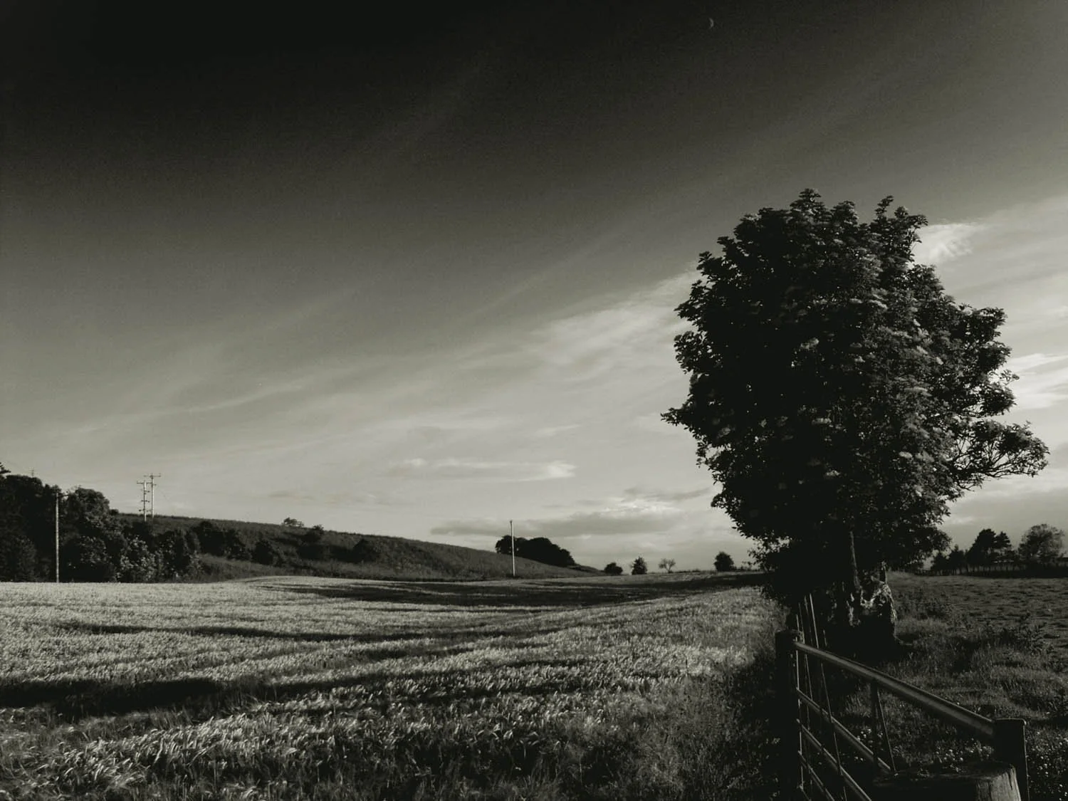 Castlec Barleyf .jpg