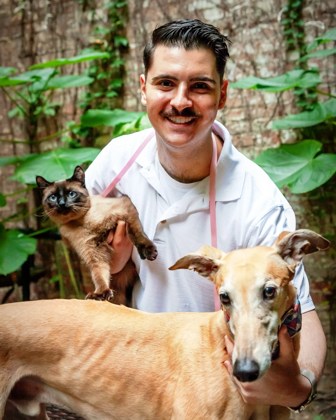 Peter-Squid-Phoebe_20181014_%C2%A9NYCPetPhotographer.jpg