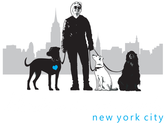 Hudson's Hounds NYC