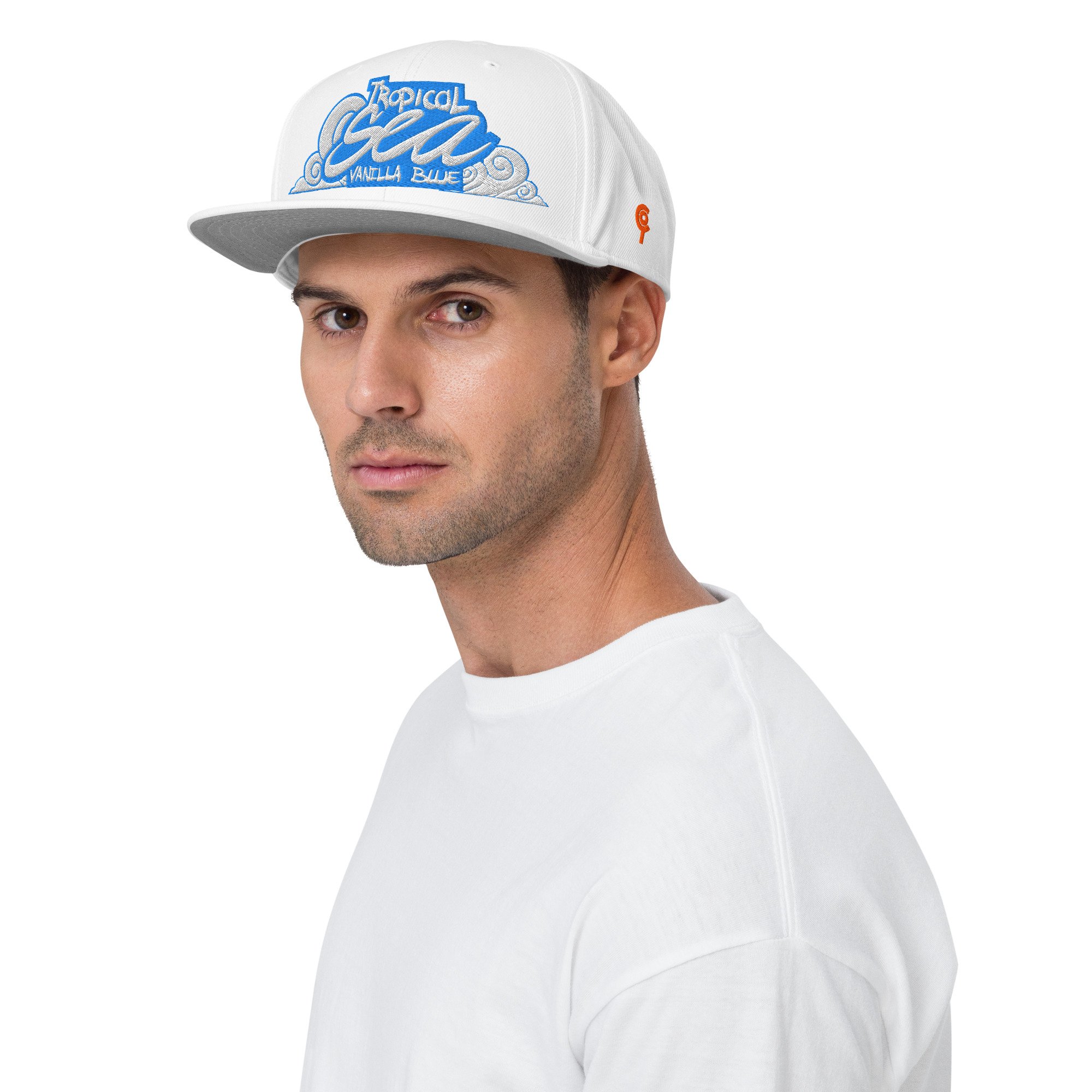 Tropical Sea Vanilla Blue Snapback