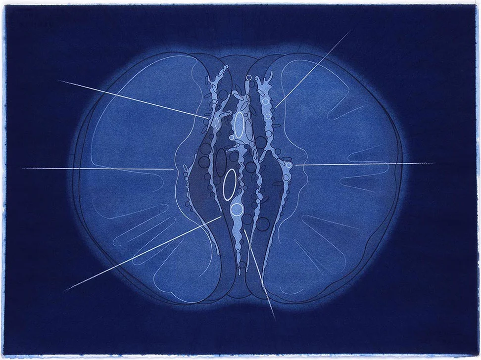 Don't be an idiot 8, 2011. Watercolor and color pencil / paper. 56 x 76 cm