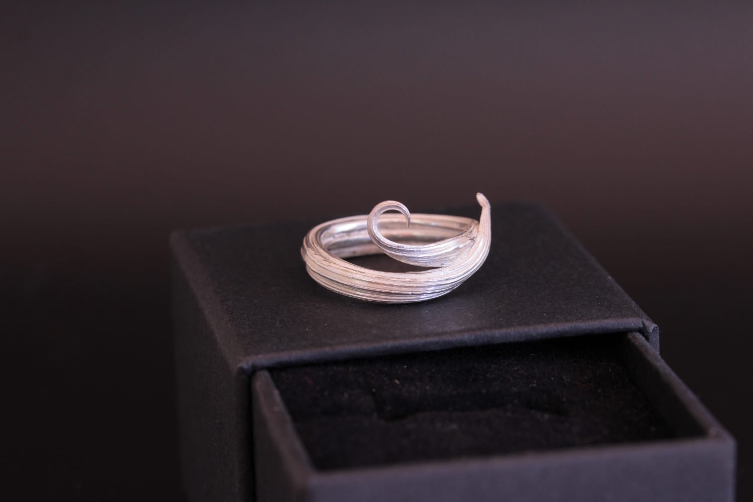 Lizzy Chambers Mitsuro Hikime Silver curl leaf ring (30).jpg