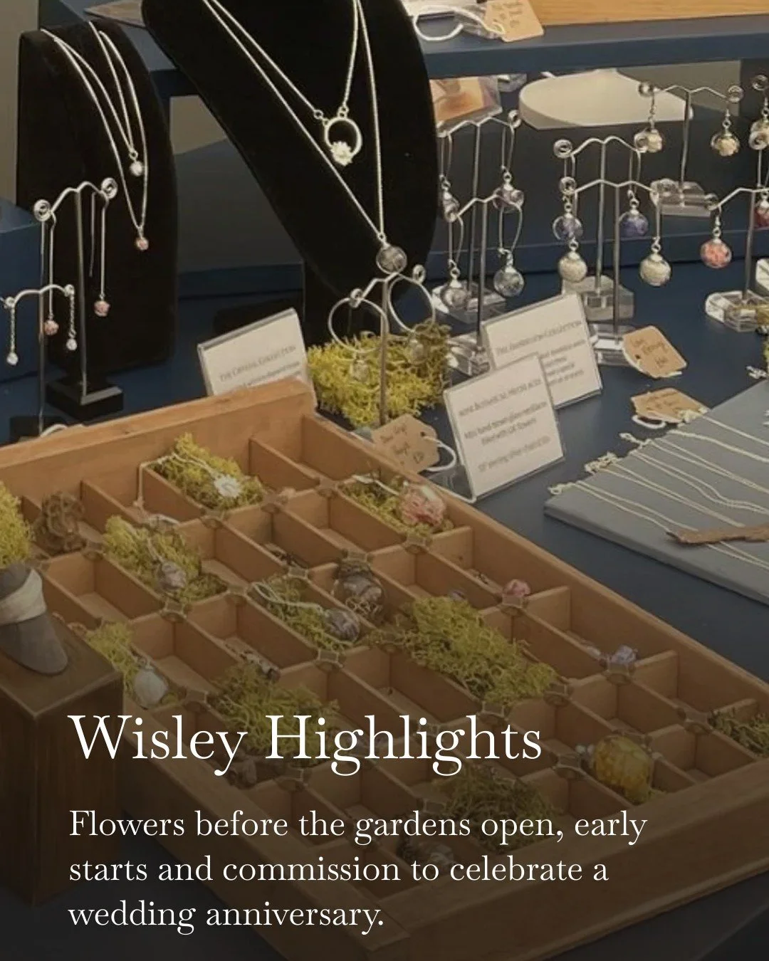 A round up of RHS Wisley with @craftinfocus, with some lovely images of Wisley and key moments from the event. Check out my post via the link in my bio for my Substack.

 #jewelleryaddict #lizzystudio #craftinfocus #botanicaljewellery #botanicalgarde