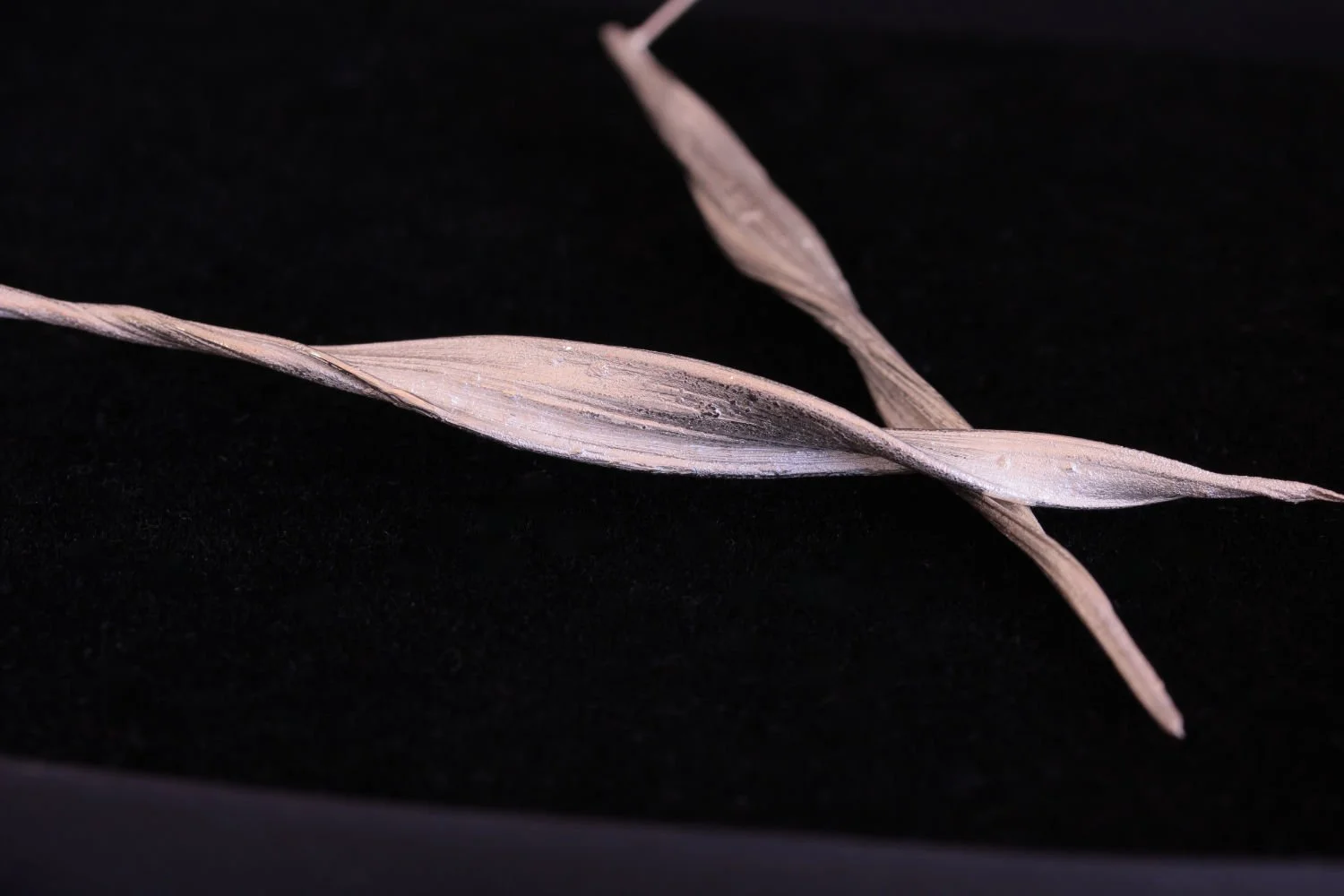Lizzy Chambers Statement Sterling Silver Mitsuro Hikime Leaf Earrings (17).jpg