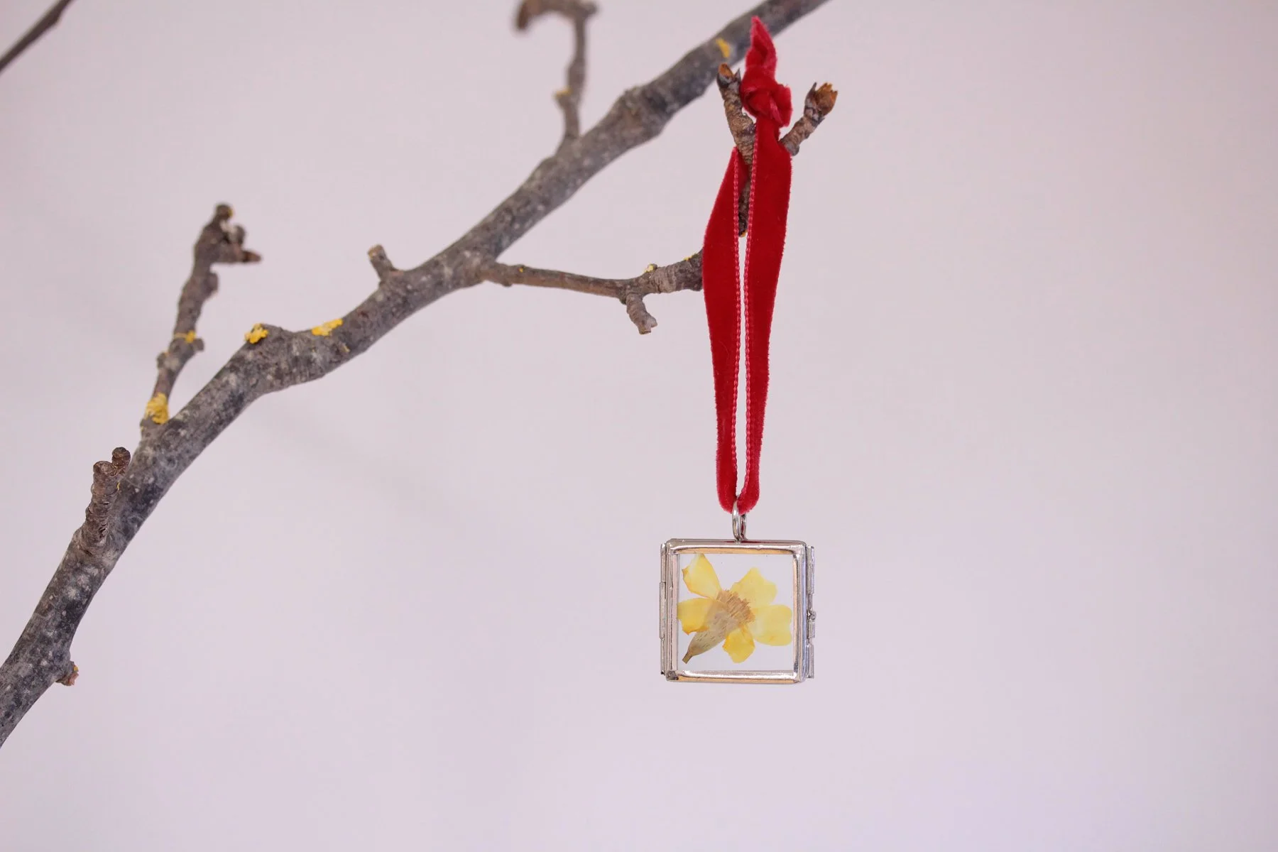 Lizzy Chambers Silver Square Frame (4).jpg