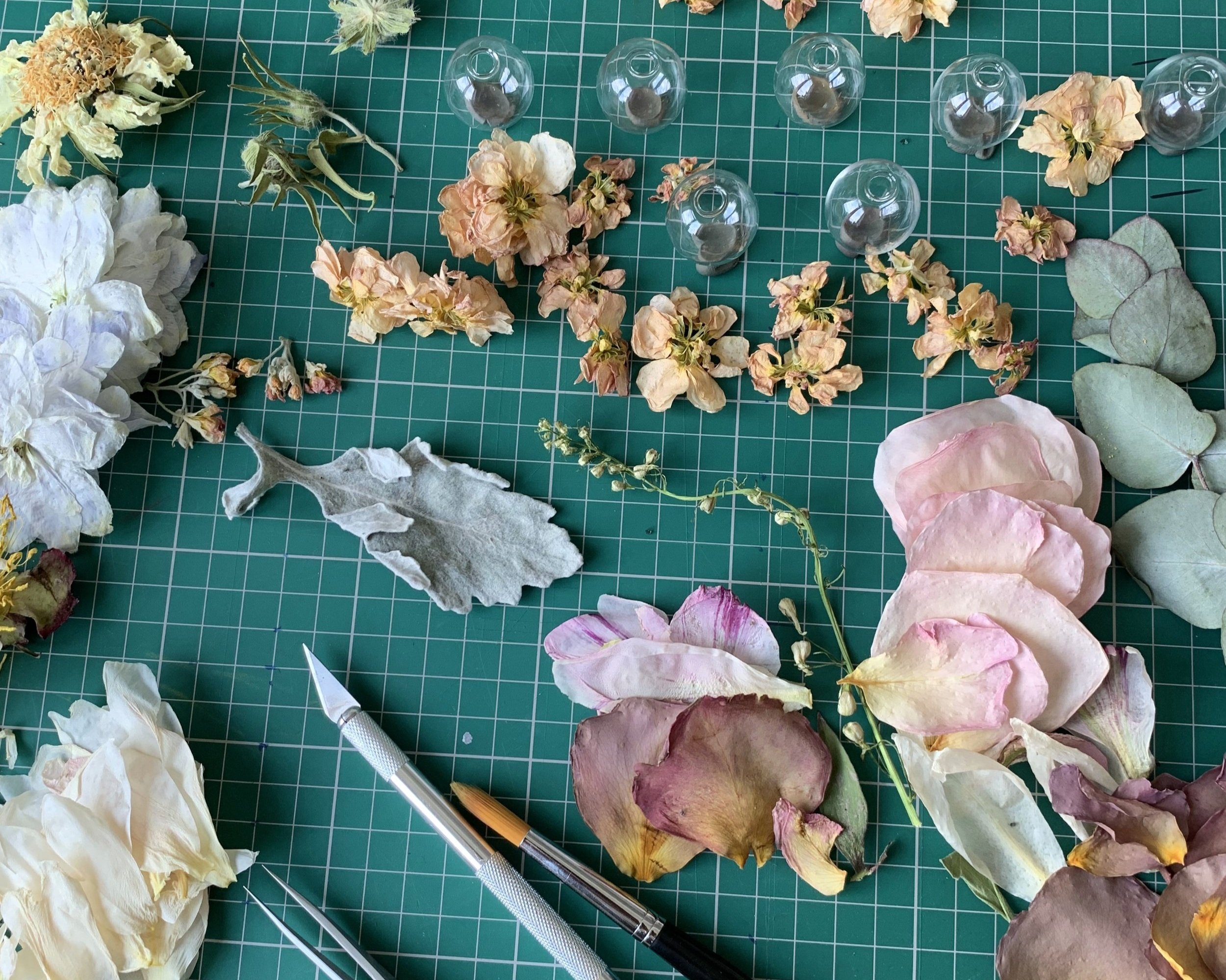 Lizzy Chambers Petals on desk.jpg
