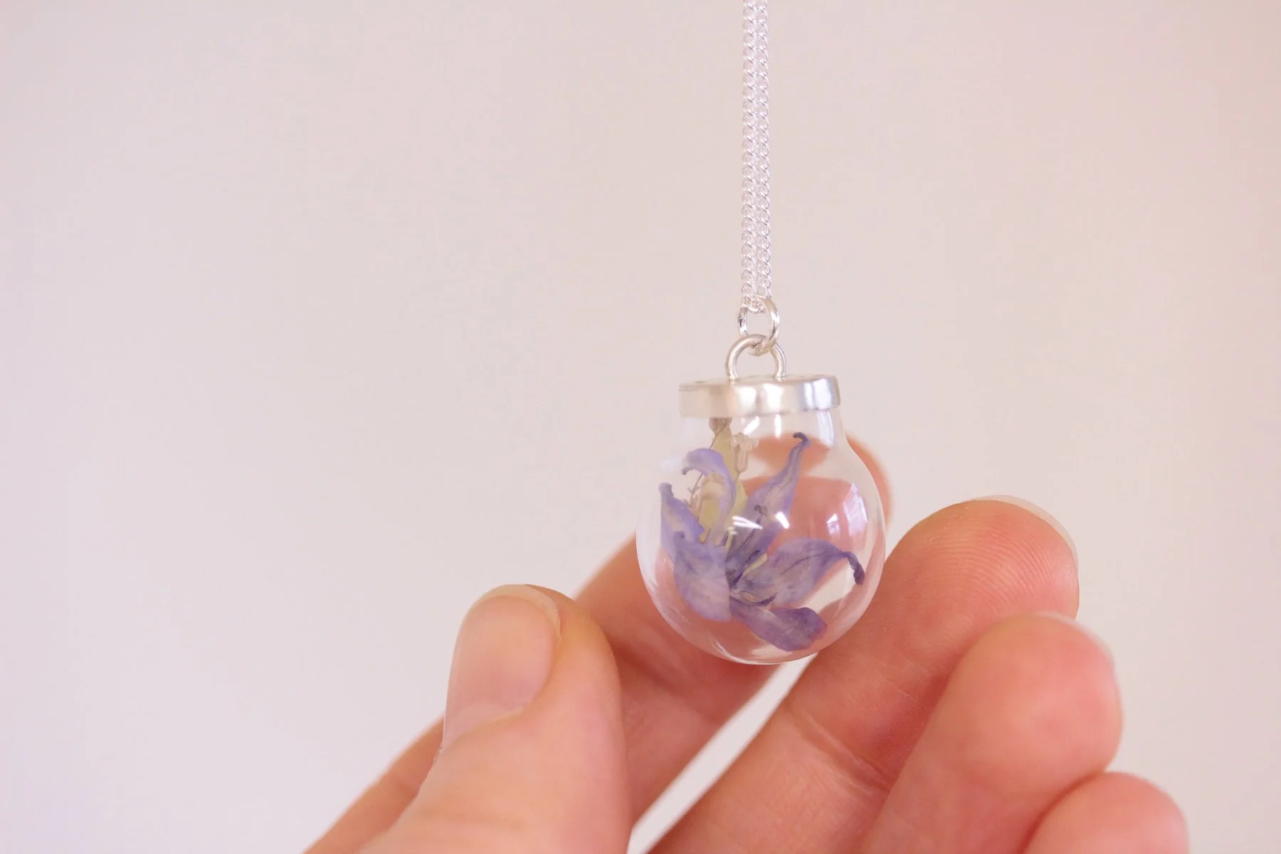 Medium Bluebell (1).jpg