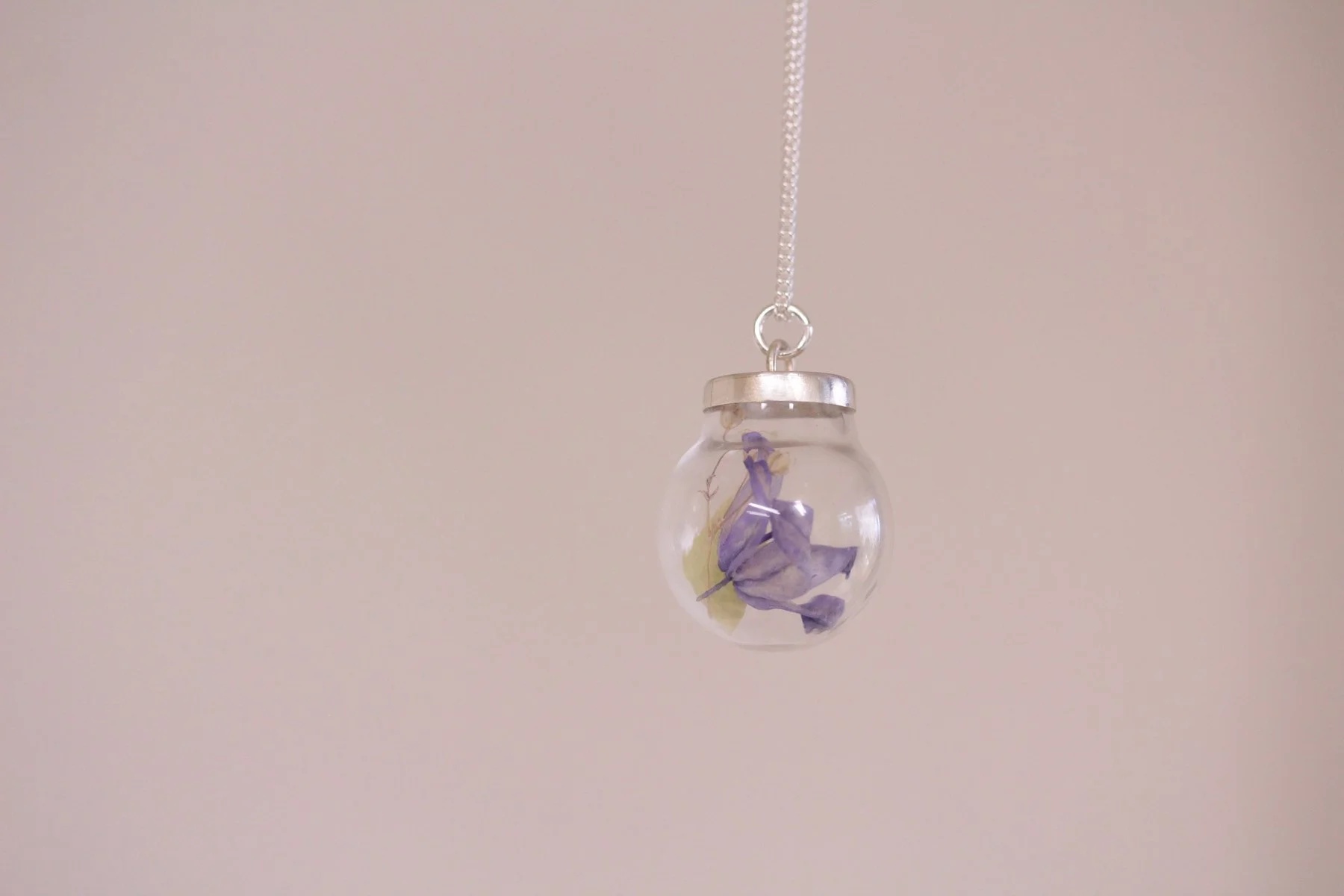 Medium Bluebell (3).jpg