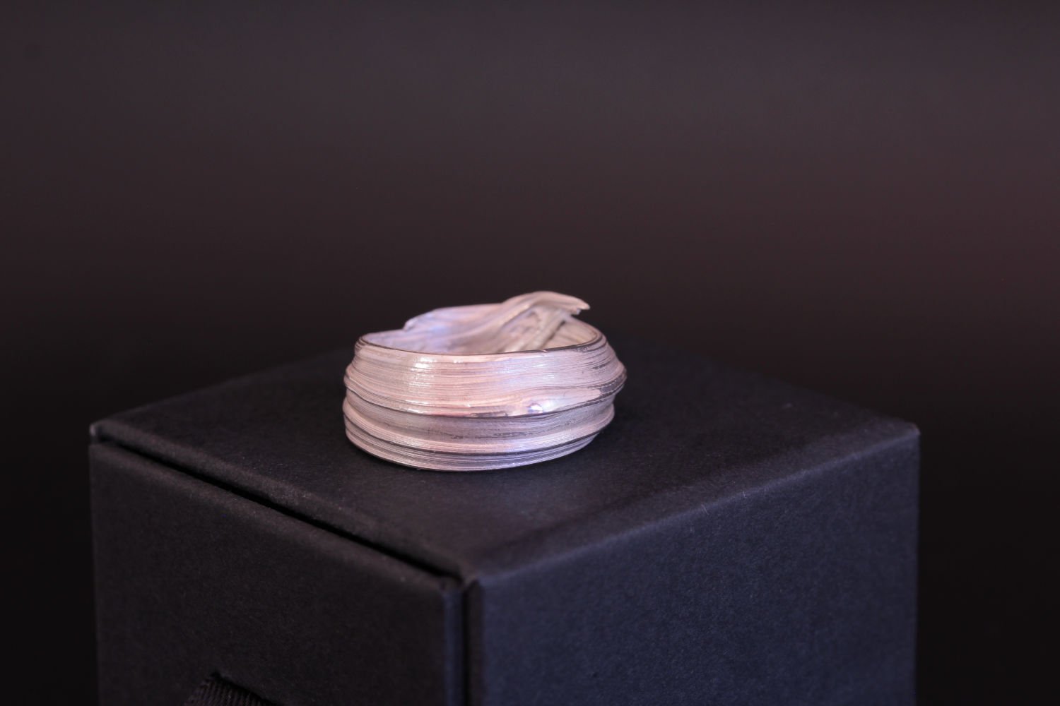 Lizzy Chambers Heavy Bark Ring Sterling Silver Misturo Hikime (71).jpg