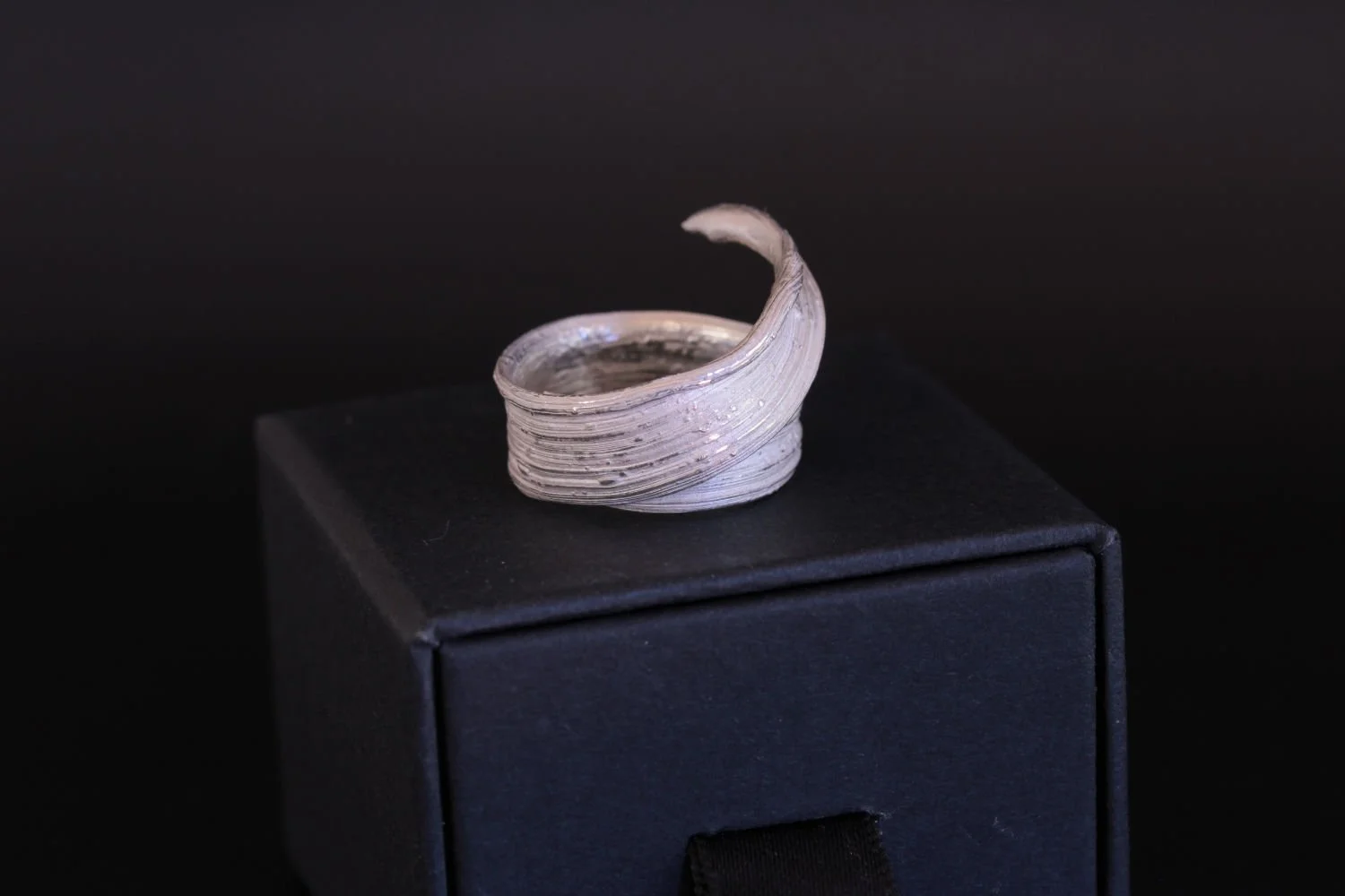 Lizzy Chambers Wide Band Silver Leaf Ring with Overlap Mitsuro Hikime (51).jpg