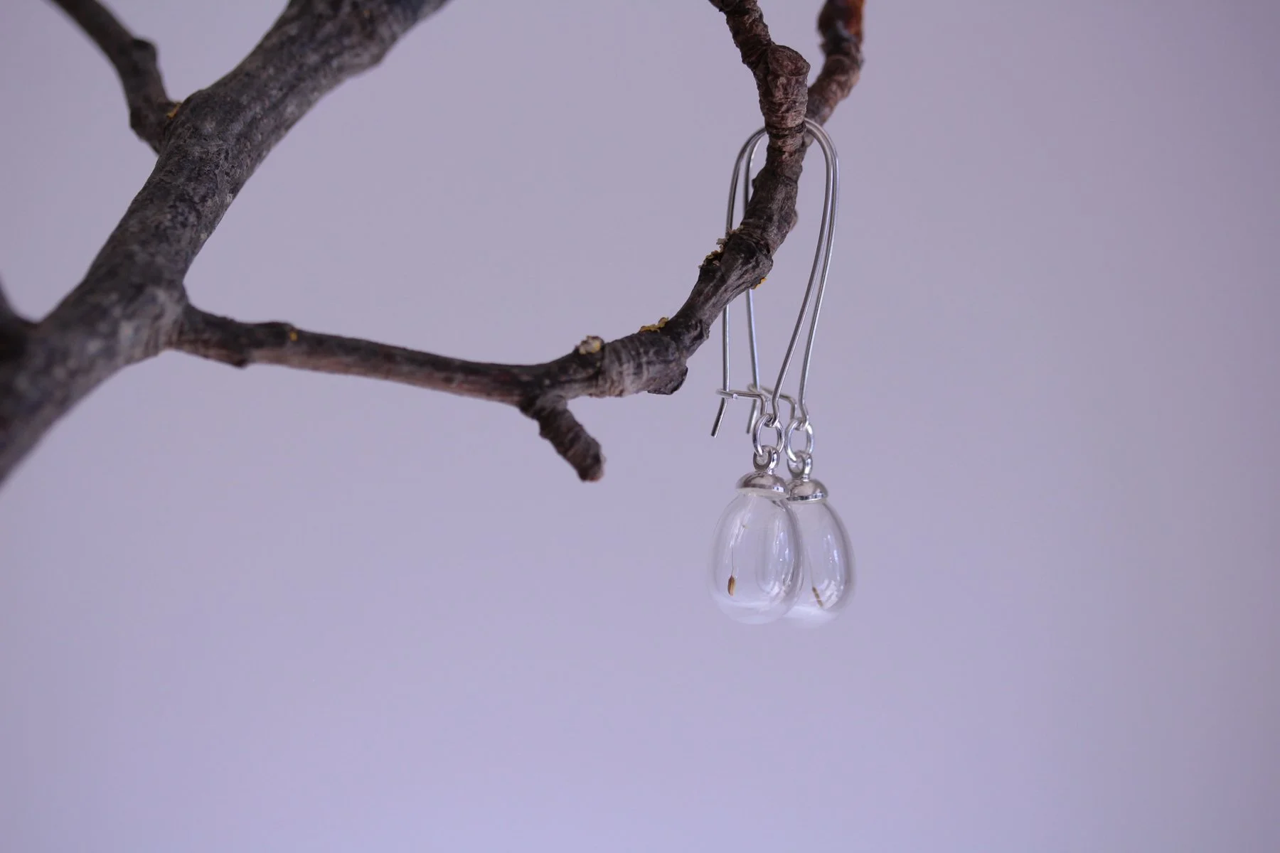 Lizzy Chambers teardrop dandelion earrings 4.jpg