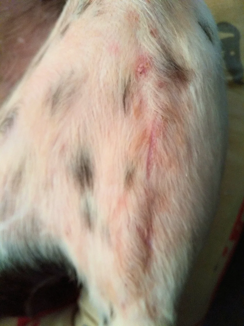 2018-12-11-1.jpg