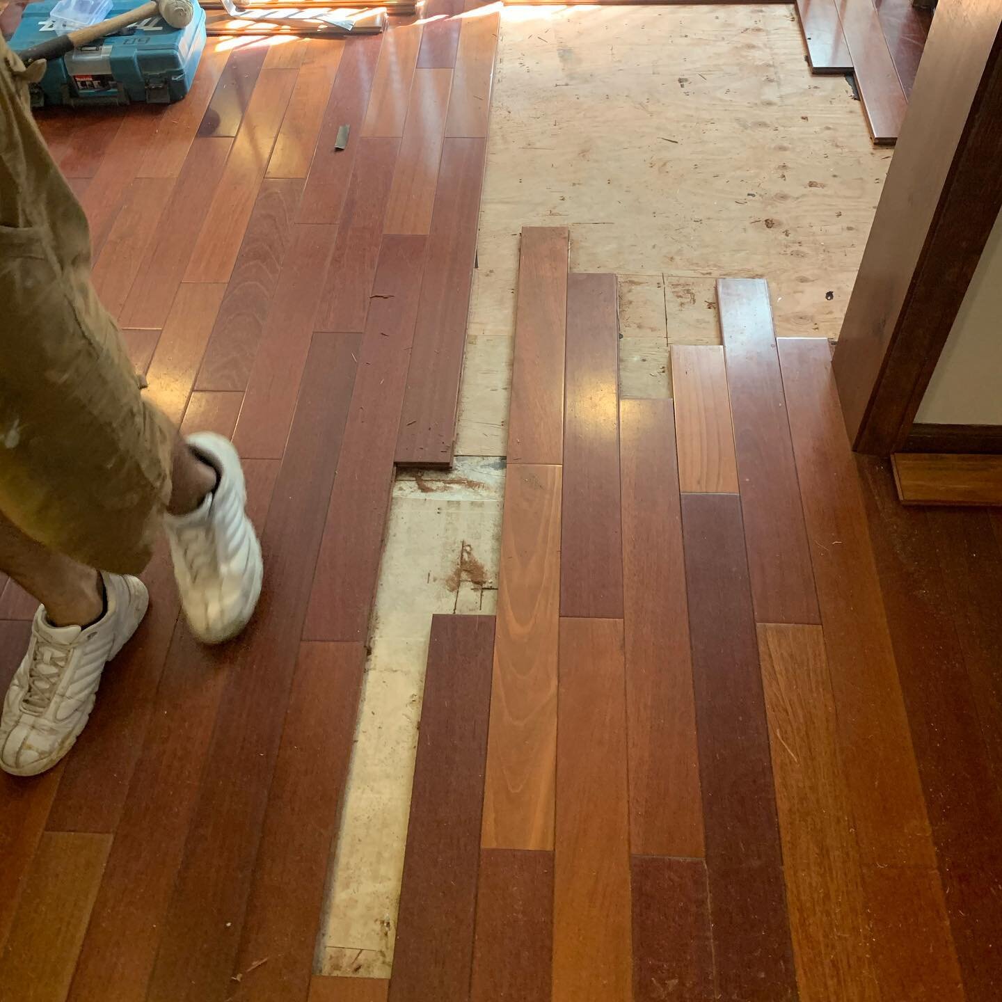 Brazilian cherry prefinished flooring , patched and repaired . www.gqhardwoodfloors.com #patch #repair #cherry #wood #flooring #gq #OneBoardAtaTime