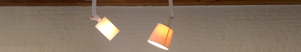 LAMPET - The pet of tomorrow for small home owners without much time.