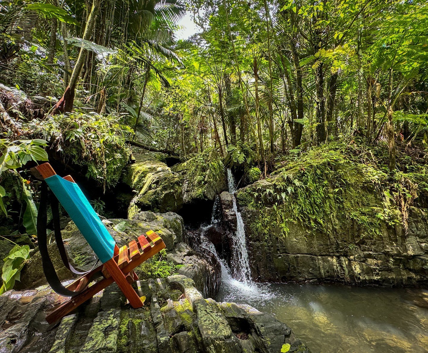🌿El Yunque🌿.
Consiguen tu sillita antes que se acabe el verano en :
@chromalocal .
@el_nido_pr (Bayam&oacute;n) .
@ladoce_tienda .

#soleapr #benacreativa #design