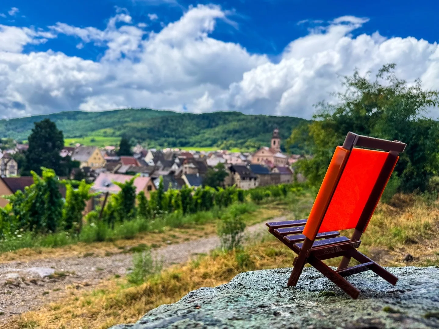 🇫🇷 RIQUEWIHR 🇫🇷