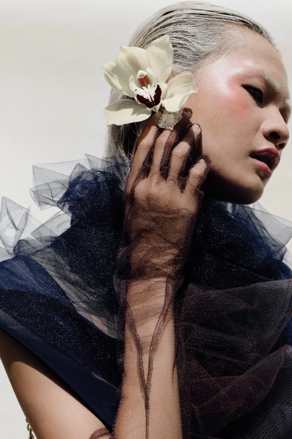 desat crop lr-flowerplay-8453.jpg