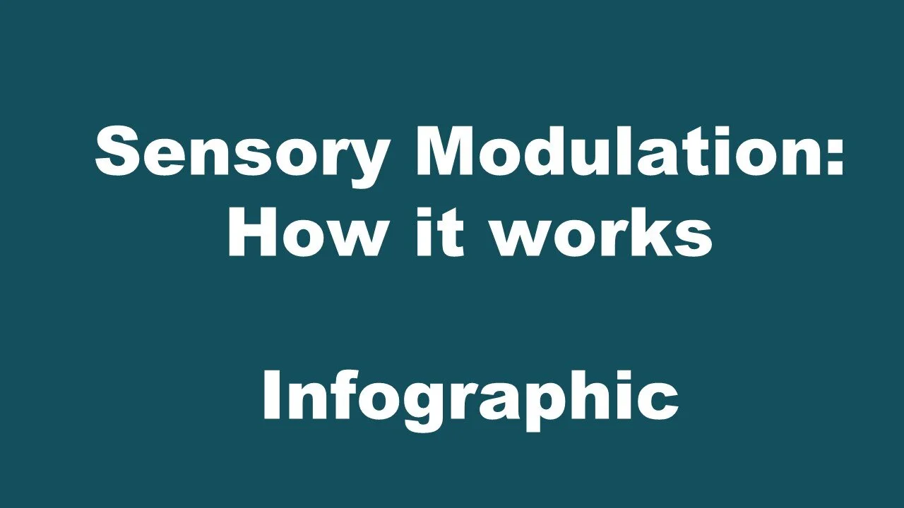 Sensory Modulation Brisbane