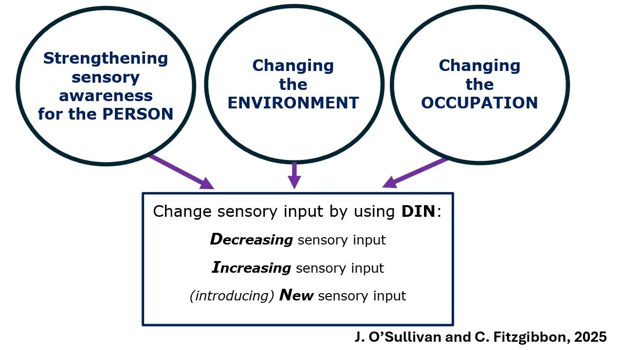DIN Model of Using Sensory Modulation as an Intervention
