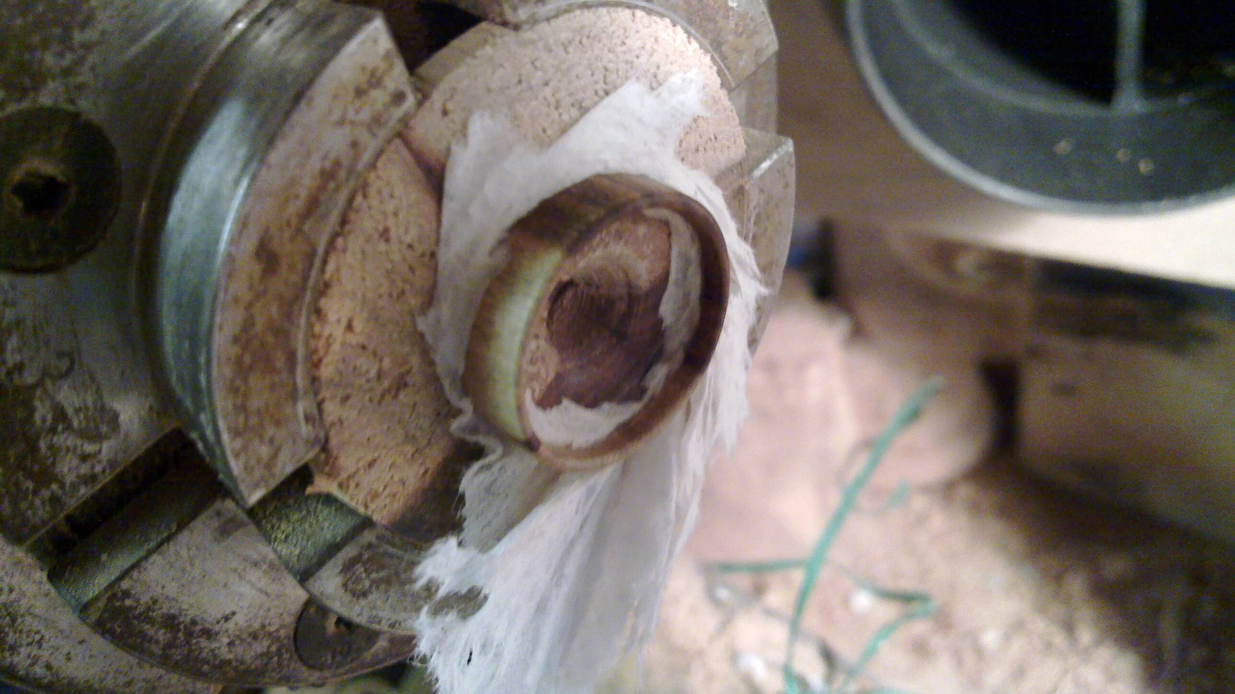 20100213_011.jpg
