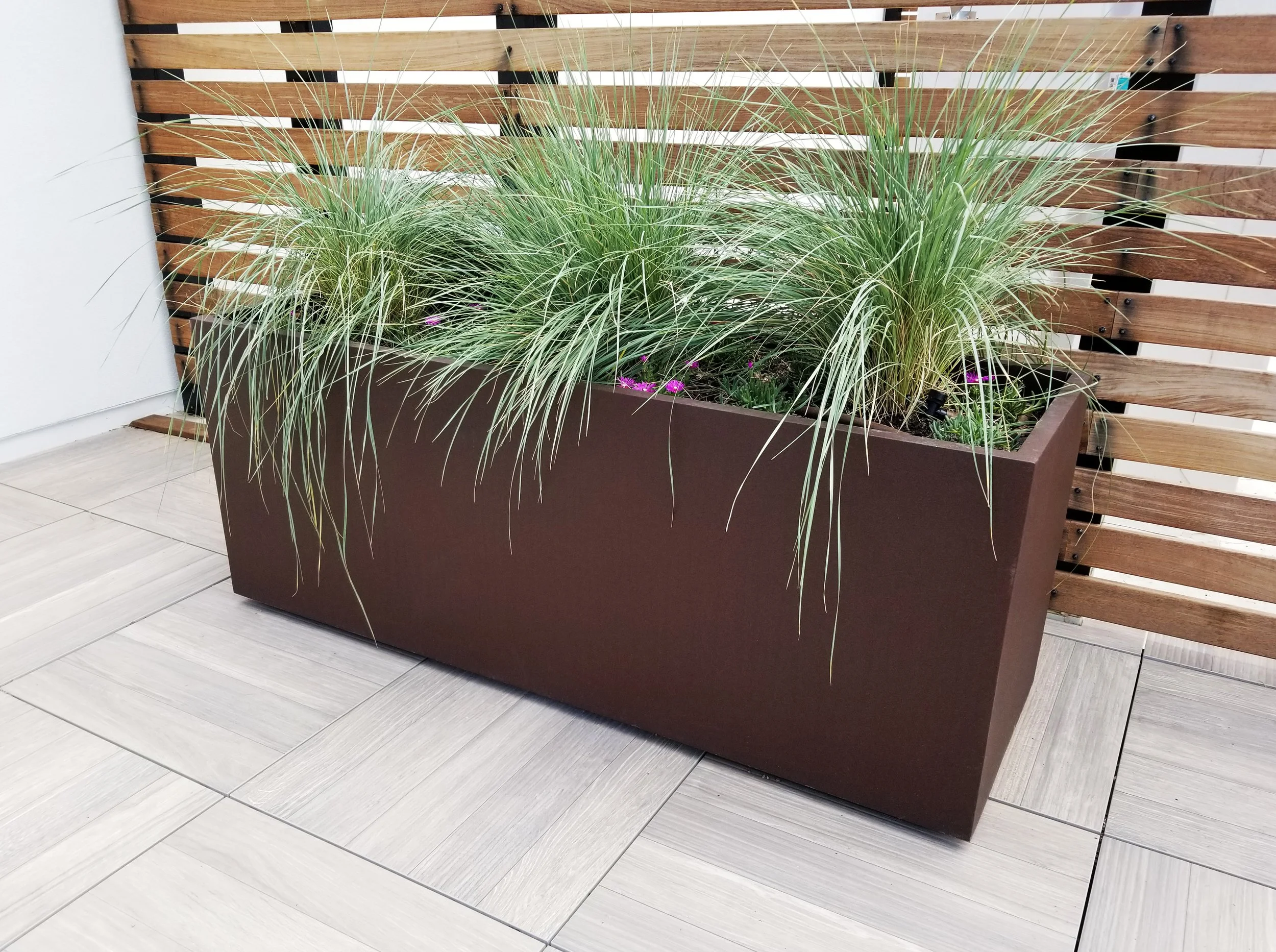 20190614_124058-WEB.jpg