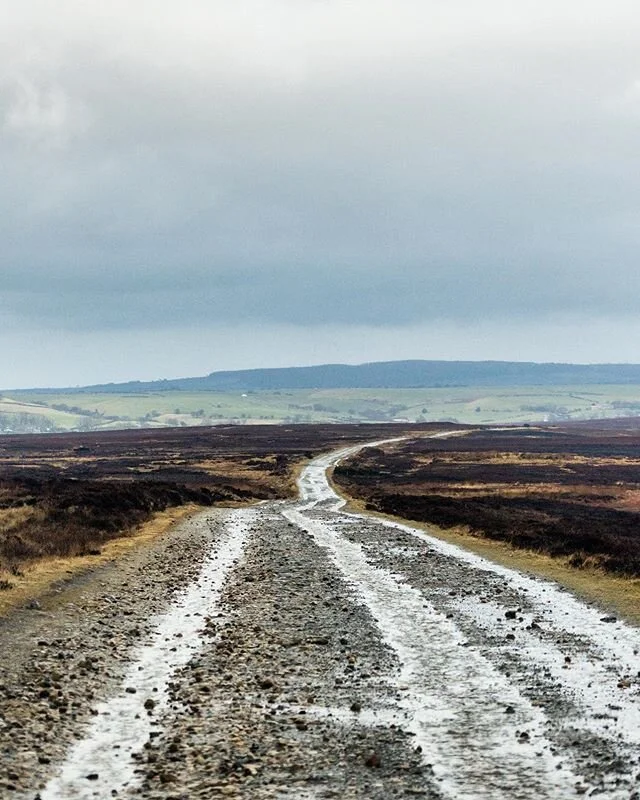 part of my heart will always belong in yorkshire 💖
.
.
.
#travelogue #landscapephotography #landscape_capture #agameoftones #moodygrams #yorkshiremoors #ig_landscapes #visual_heaven #landscapephoto #landscape_lover #natgeoadventure #earthexperience