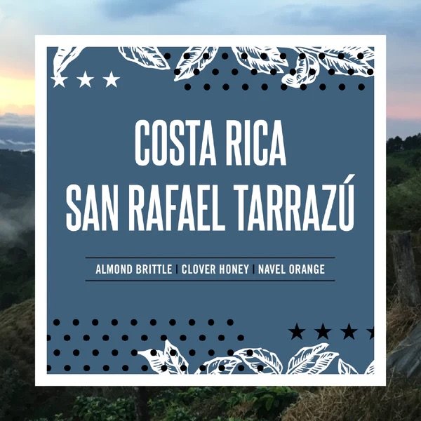 Try our latest blend, Costa Rica San Rafael!✨
A beautifully balanced coffee with a rich, satisfying body and a comforting sweetness that shines from first sip to last.

Flavor Notes: Almond Brittle &bull; Clover Honey &bull; Navel Orange

Process: Wa
