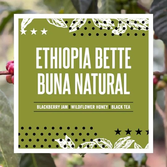 ☕ New coffee has landed ☕

Ethiopia Bette Buna Natural delivers a beautifully layered cup with notes of blackberry jam, wildflower honey, and black tea.

Grown by smallholder farmers in Sidamo and carefully natural‑processed, this coffee is vibrant, 