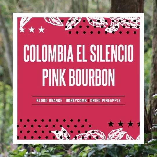 Meet your new favorite cup ☕✨

Our Colombia El Silencio Pink Bourbon is here&mdash;bright, juicy, and beautifully complex.

Expect vibrant notes of blood orange, honeycomb, and dried pineapple in every sip 🍊🍯🍍 This washed lot from Robinson Rivera&
