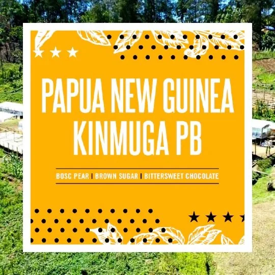 Introducing Papua New Guinea Kinmuga PB ☕️✨ &mdash; a coffee that unfolds with elegance in every sip. Grown in the fertile Waghi Valley and nurtured by volcanic soil, this selection offers a beautifully balanced cup with notes of ripe Bosc pear, brow