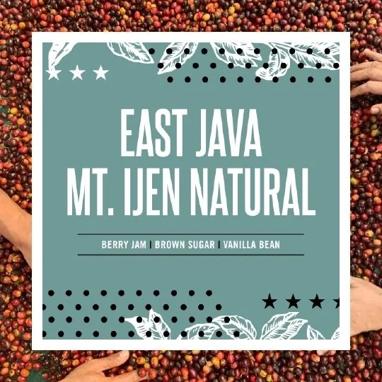Introducing East Java Mt. Ijen Natural ☕️🌋

A sweet and beautifully rounded coffee from the slopes surrounding Mount Ijen in Indonesia's Besoeki region.

With notes of berry jam, brown sugar, and vanilla bean, this naturally processed lot delivers a