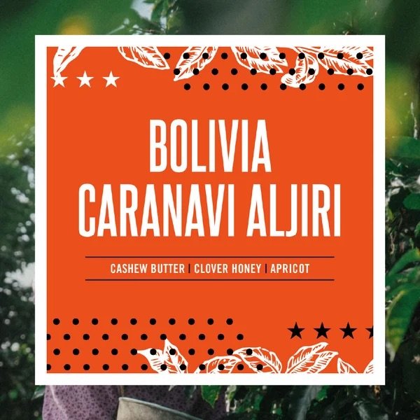 Meet Bolivia Caranavi Aljiri, our newest single-origin release. ☕

Grown by 19 smallholder producers in the Yungas region of La Paz, this washed coffee showcases the care, collaboration, and craftsmanship driving Bolivia&rsquo;s thriving specialty co