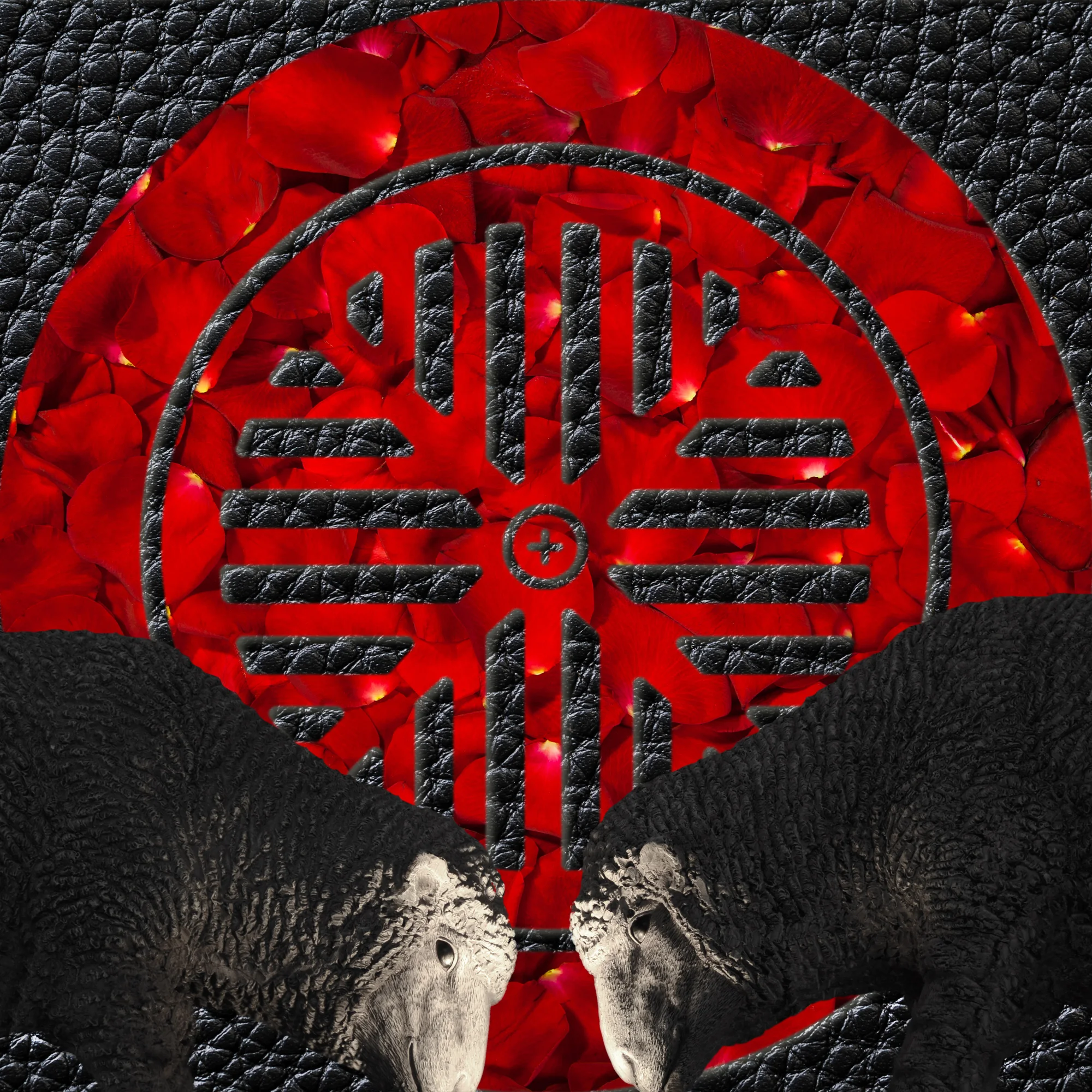 Black-Sheep.jpg