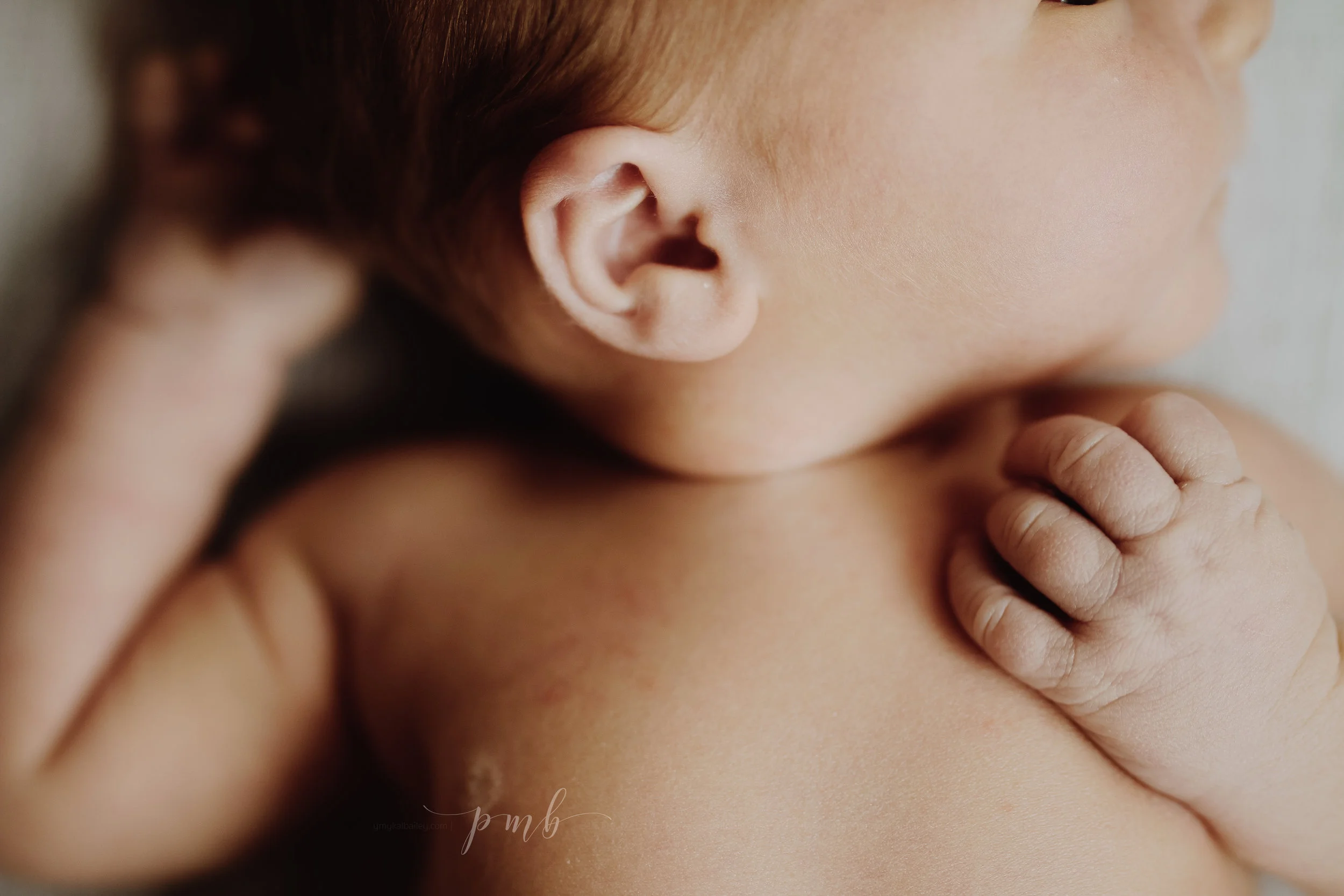 Hudson James Acciarresi