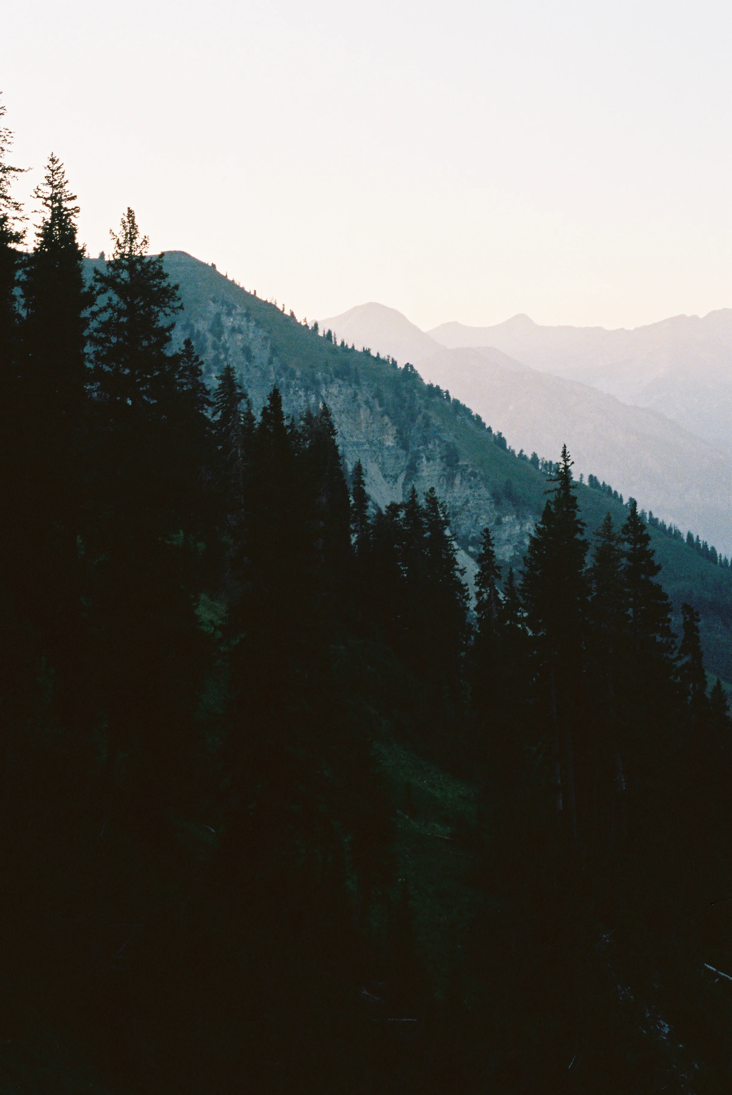 Wood000126-R1-018-7A.JPG