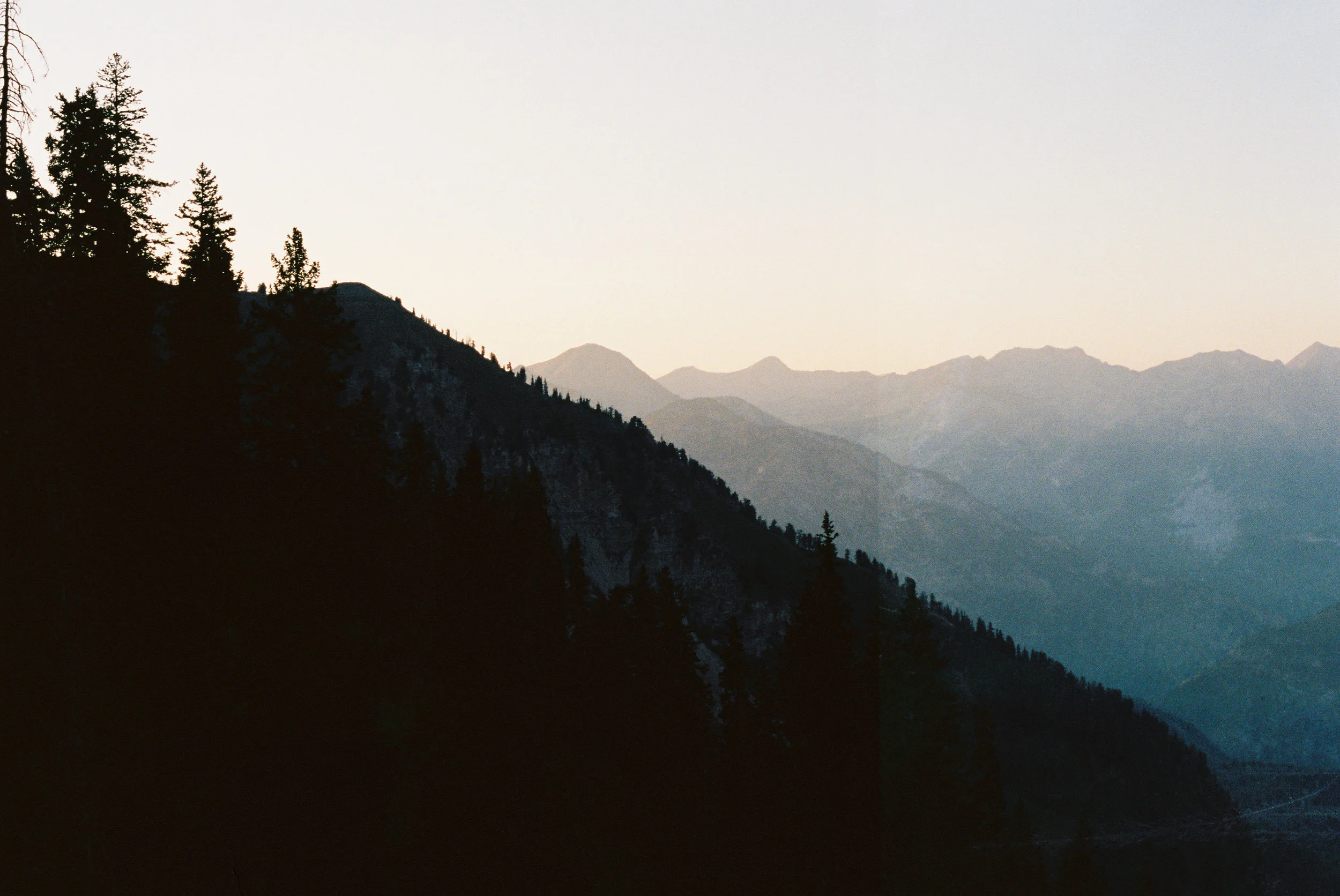 Wood000126-R1-020-8A.JPG