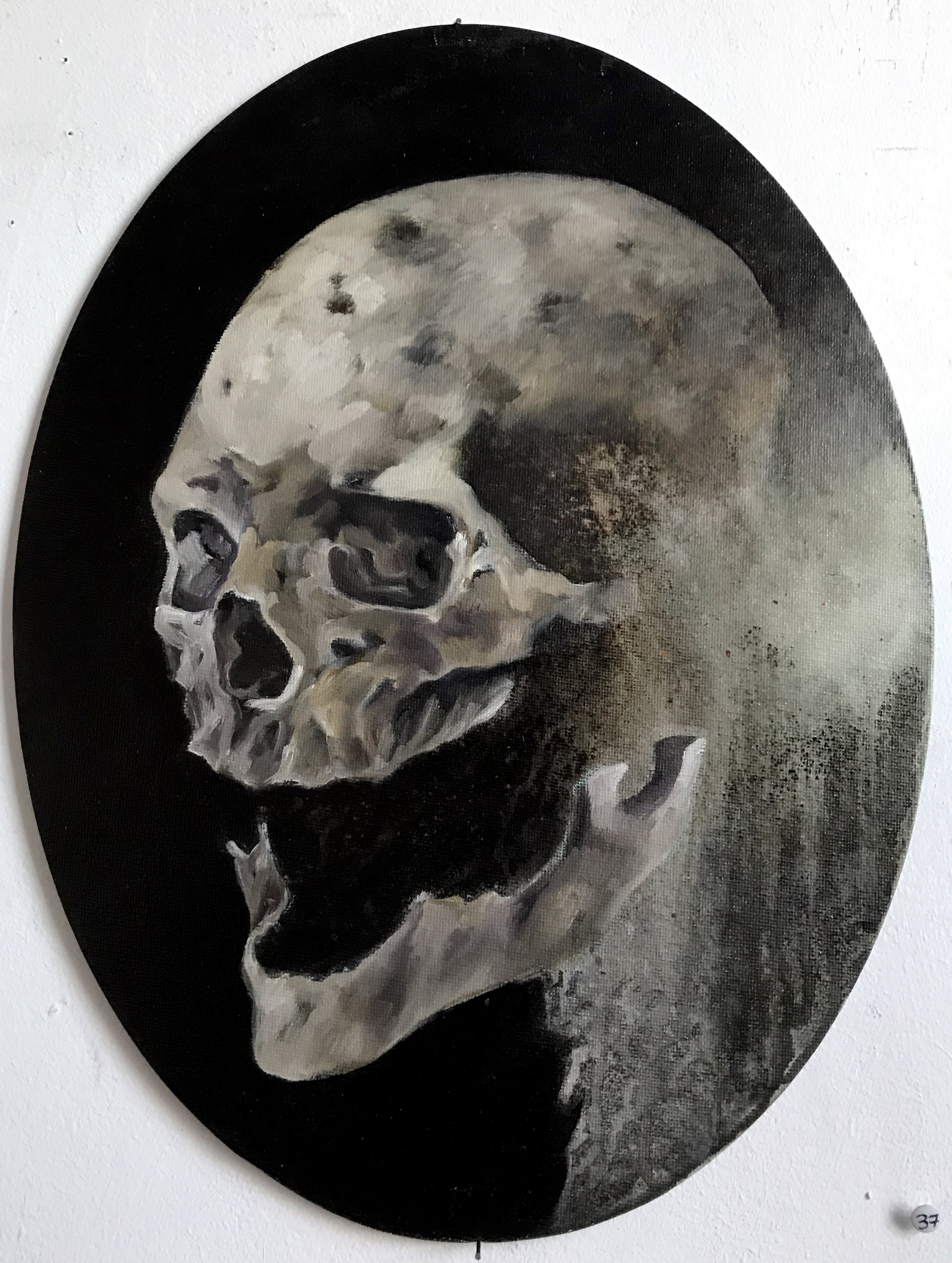 Fragogna_Oval_Skull_Oil on Museum Board_approx 15.5 x 12.jpg