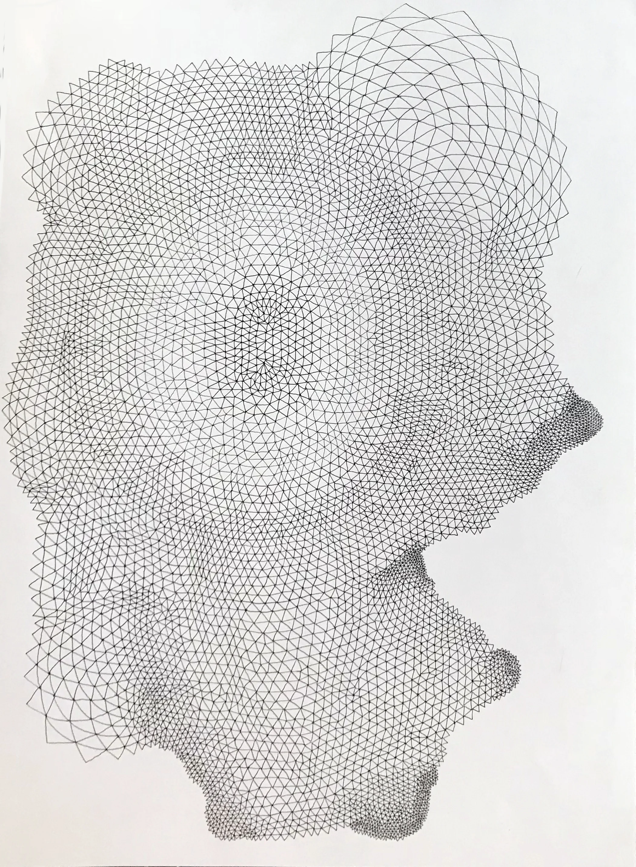 Fragogna_Skin_1_Ink on Paper_16 x 12 inches.jpg