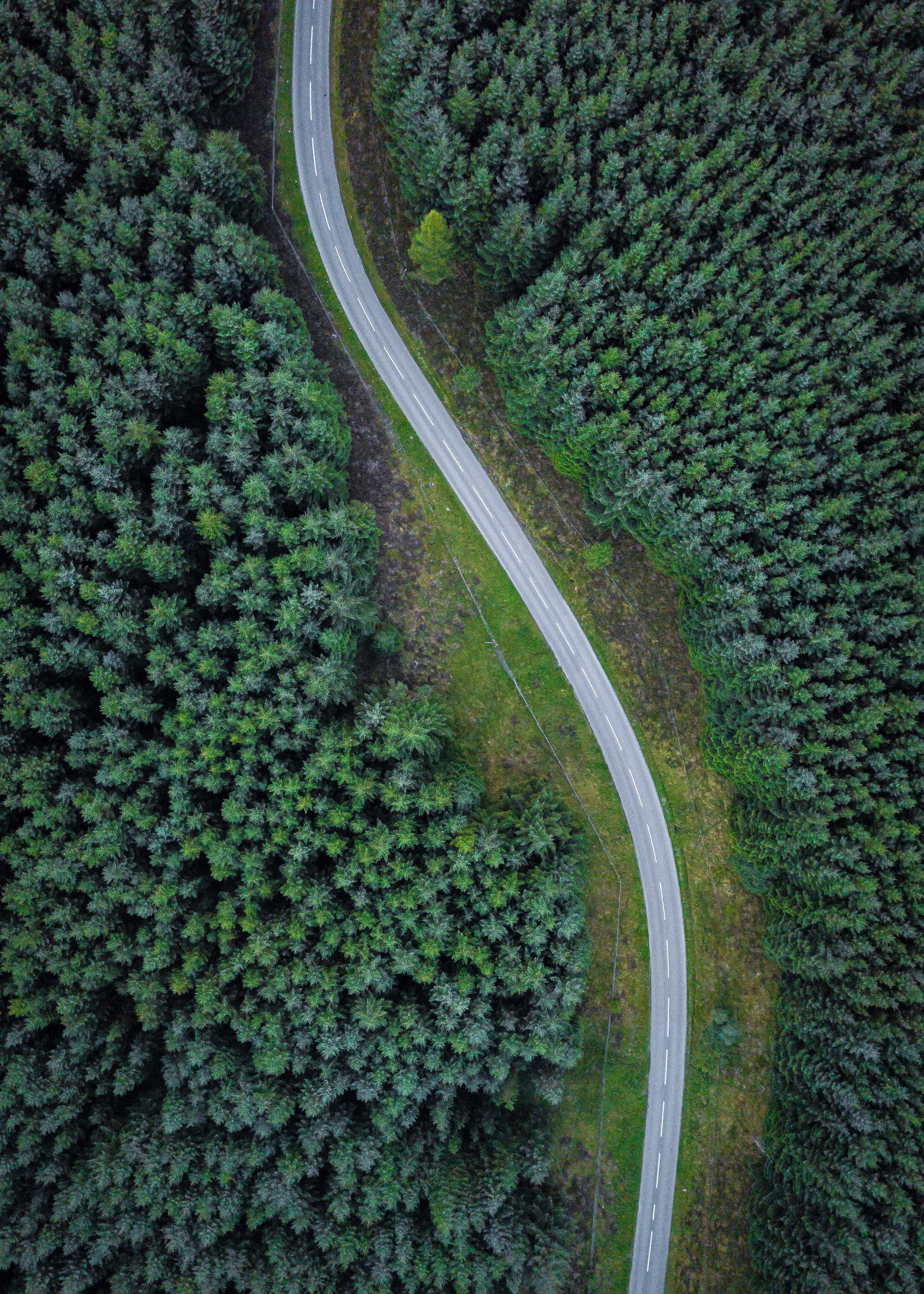 FirstAdventureSelection-4-DJI_0204.jpg