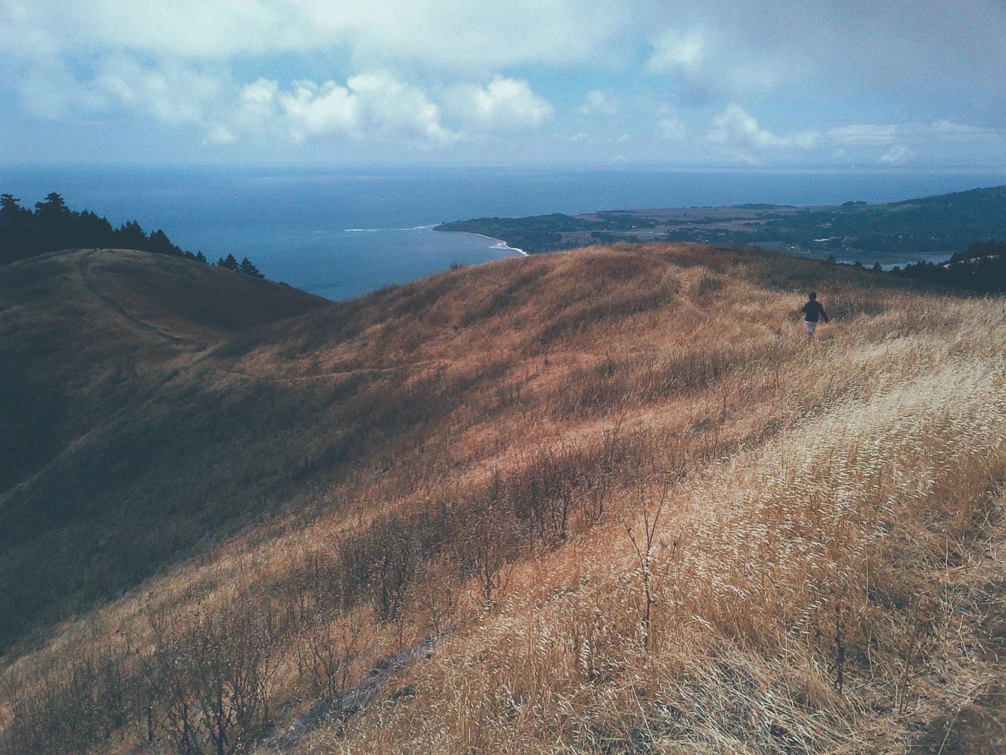 BROTHERLY HIKE | Marin County, CA