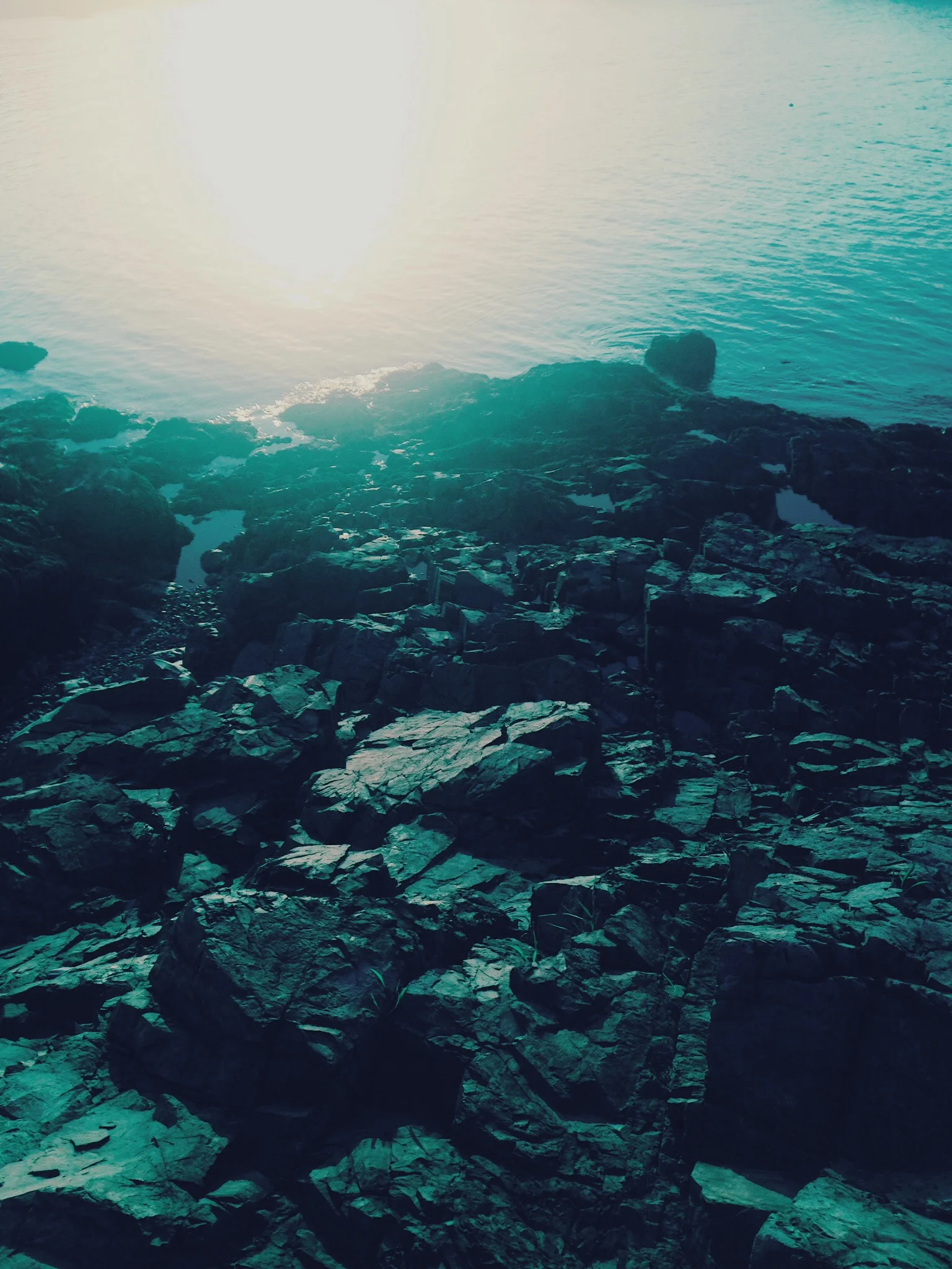 Spearfishing | Halibut Point, MA