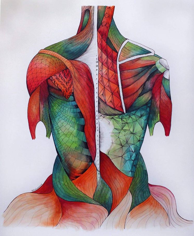 Our Core Principles: The Body has a Story to Tell