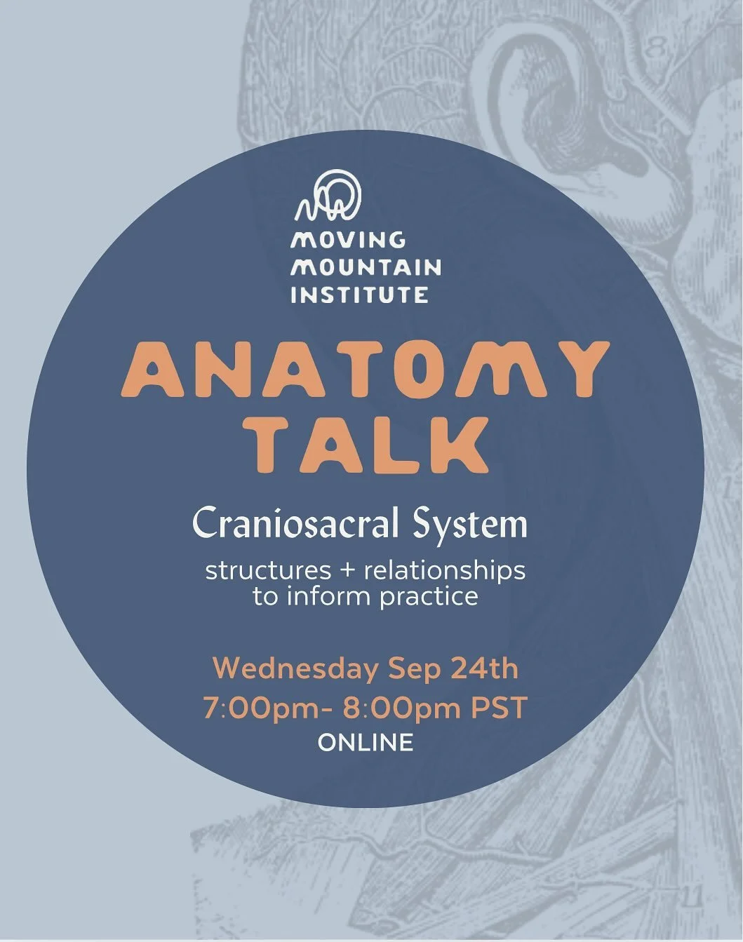 Next week we&rsquo;re taking a walk through the @gilhedley videos that bring us directly into the connected pieces of the Craniosacral system structures and anatomy! 

Donation level your choice and contributes to our scholarship fund 🌀

This is a g
