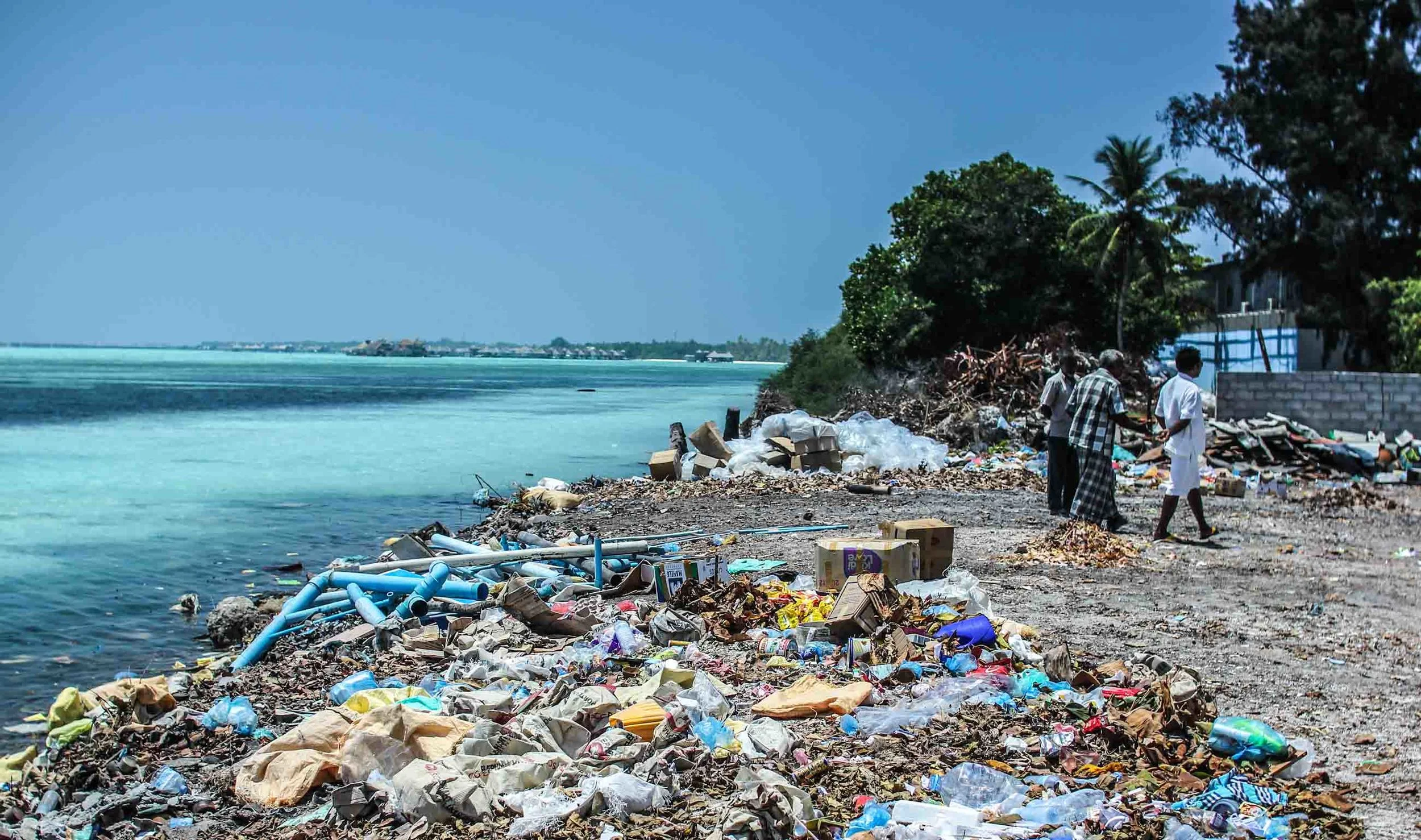A rubbish truck worth of waste ends up in the oceans every minute.