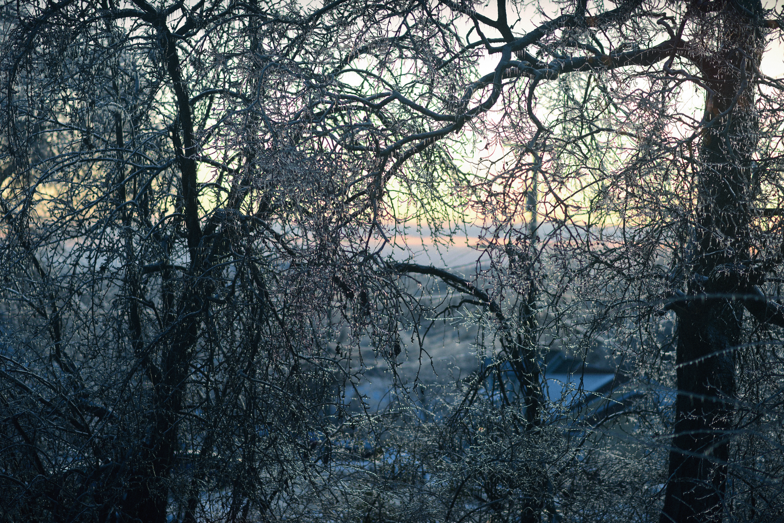 ERN_7761_ice_storm_sunset_nashville_smaller.png